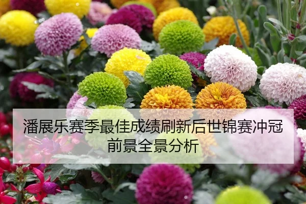 潘展乐赛季最佳成绩刷新后世锦赛冲冠前景全景分析