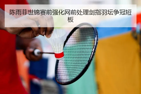 陈雨菲世锦赛前强化网前处理剑指羽坛争冠短板