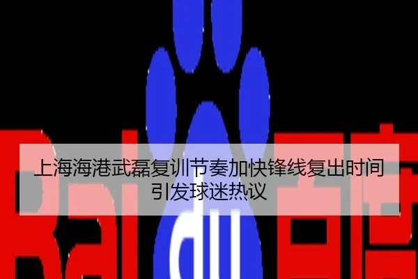 上海海港武磊复训节奏加快锋线复出时间引发球迷热议